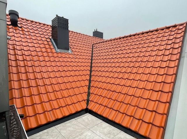 Schone dakken